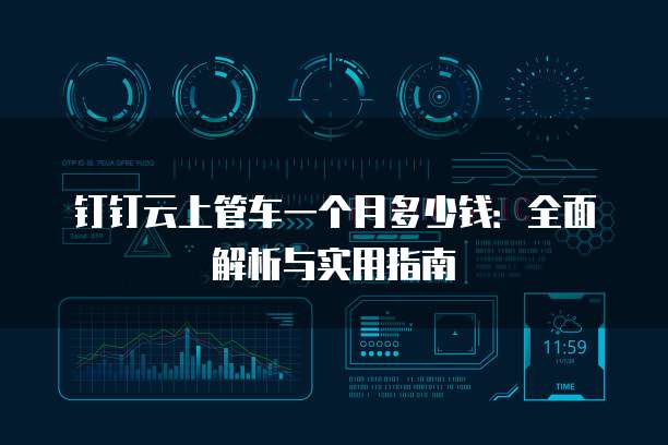钉钉云上管车一个月多少钱:全面解析与实用指南