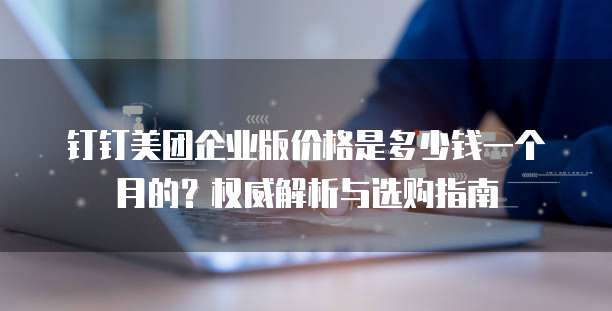 钉钉美团企业版价格是多少钱一个月的？权威解析与选购指南