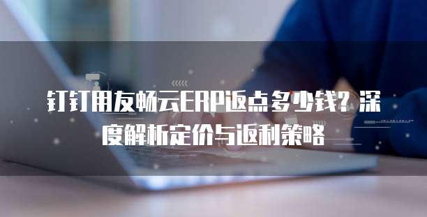 钉钉用友畅云ERP返点多少钱?深度解析定价与返利策略