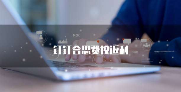 钉钉合思费控返利