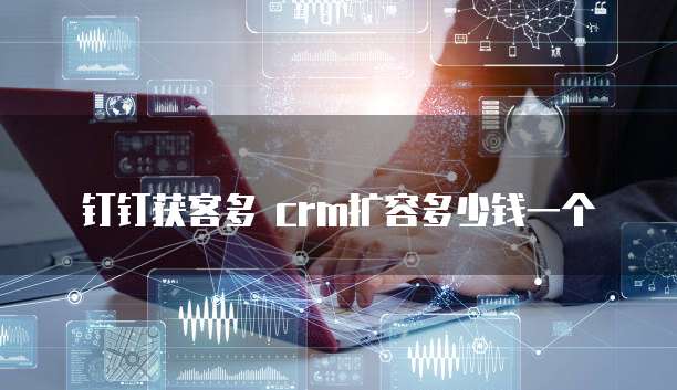 钉钉获客多 crm扩容多少钱一个