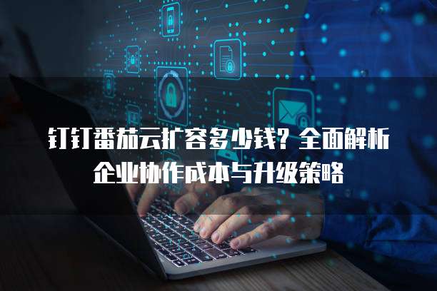 钉钉番茄云扩容多少钱?全面解析企业协作成本与升级策略