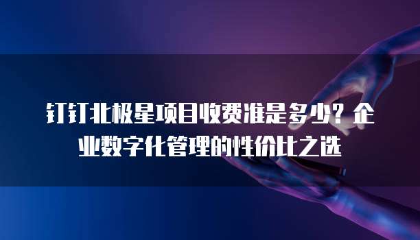 钉钉北极星项目收费准是多少?企业数字化管理的性价比之选