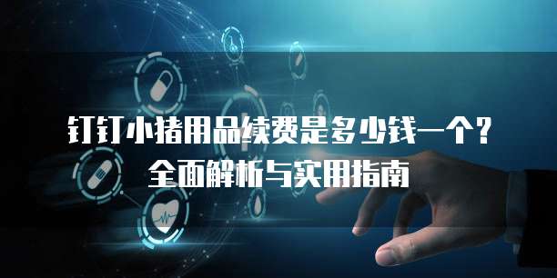 钉钉小猪用品续费是多少钱一个?全面解析与实用指南