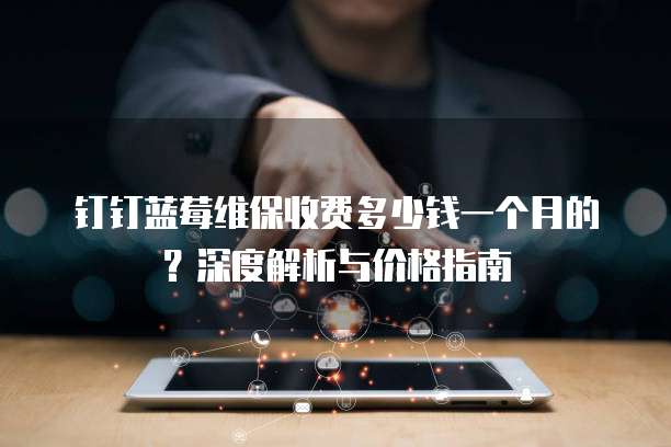 钉钉蓝莓维保收费多少钱一个月的?深度解析与价格指南