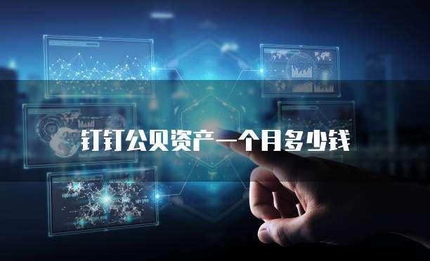 钉钉公贝资产一个月多少钱