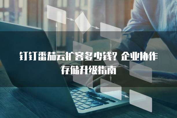 钉钉番茄云扩容多少钱?企业协作存储升级指南
