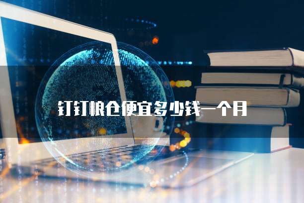 钉钉粮仓便宜多少钱一个月