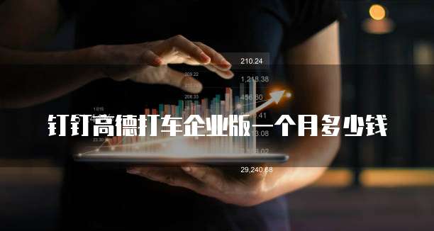 钉钉高德打车企业版一个月多少钱