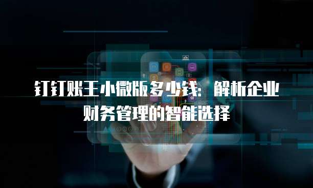 钉钉账王小微版多少钱:解析企业财务管理的智能选择