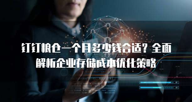 钉钉粮仓一个月多少钱合适?全面解析企业存储成本优化策略