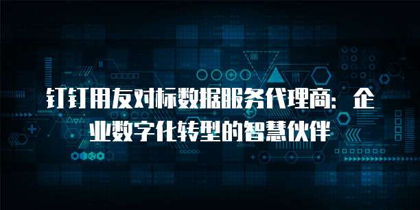 钉钉用友对标数据服务代理商：企业数字化转型的智慧伙伴