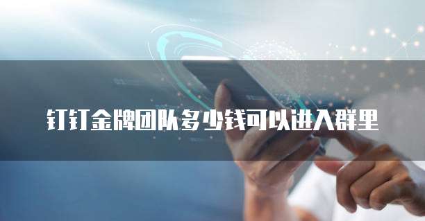 钉钉金牌团队多少钱可以进入群里