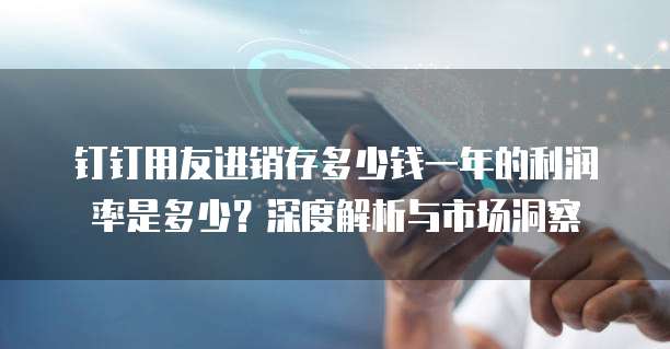 钉钉用友进销存多少钱一年的利润率是多少?深度解析与市场洞察