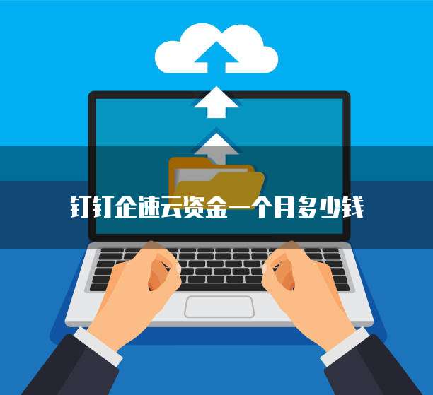 钉钉企速云资金一个月多少钱