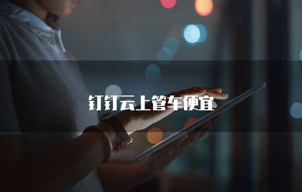 钉钉云上管车便宜