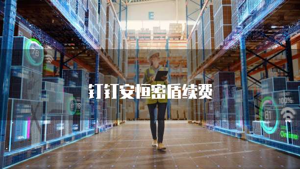 钉钉安恒密盾续费