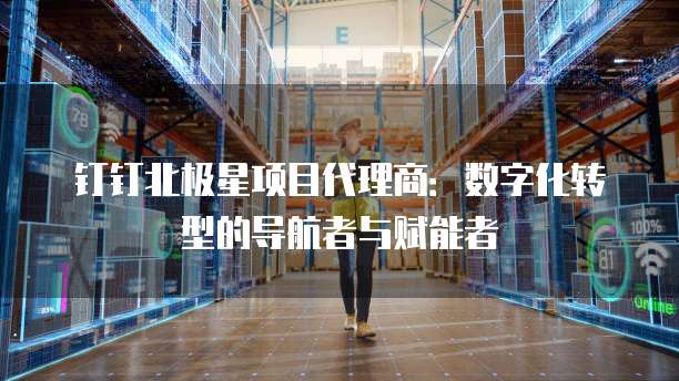钉钉北极星项目代理商：数字化转型的导航者与赋能者