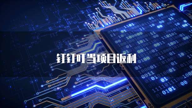 钉钉叮当项目返利