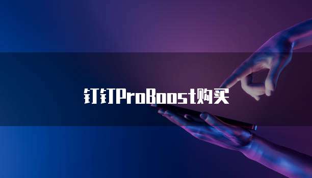 钉钉ProBoost购买