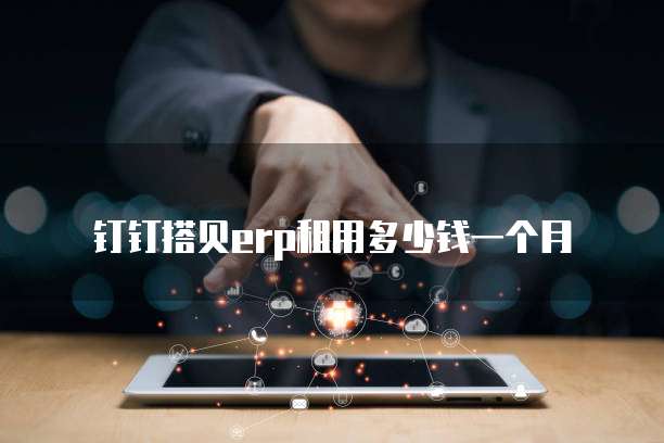 钉钉搭贝erp租用多少钱一个月