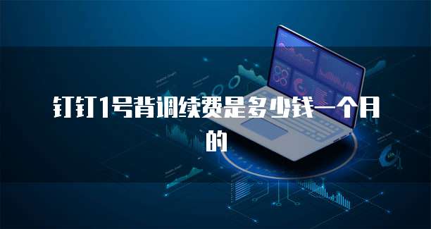 钉钉1号背调续费是多少钱一个月的