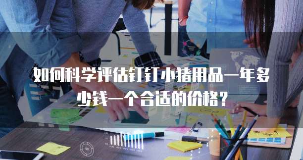 如何科学评估钉钉小猪用品一年多少钱一个合适的价格?