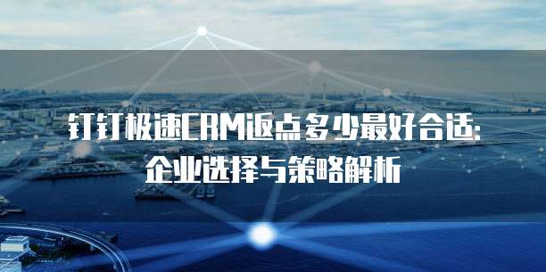 钉钉极速CRM返点多少最好合适:企业选择与策略解析