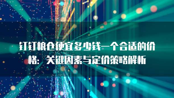 钉钉粮仓便宜多少钱一个合适的价格:关键因素与定价策略解析