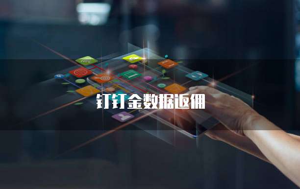 钉钉金数据返佣