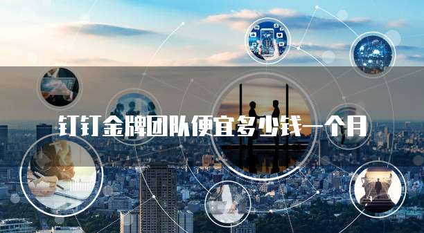 钉钉金牌团队便宜多少钱一个月