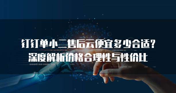 钉钉单小二售后云便宜多少合适?深度解析价格合理性与性价比