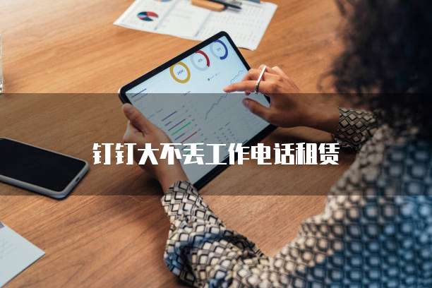 钉钉大不丢工作电话租赁
