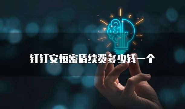 钉钉安恒密盾续费多少钱一个