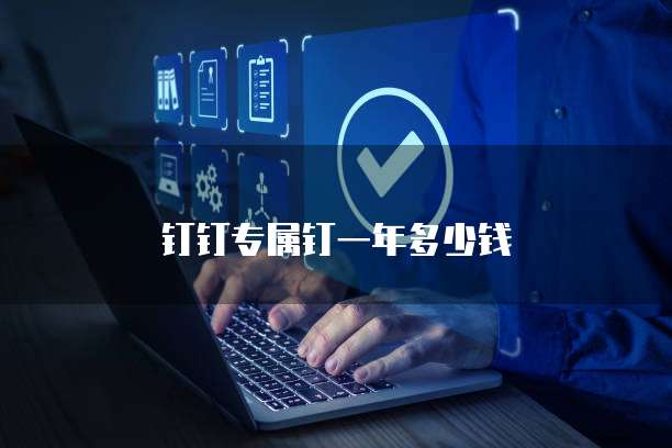 钉钉专属钉一年多少钱
