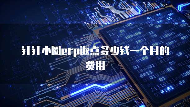 钉钉小圈erp返点多少钱一个月的费用