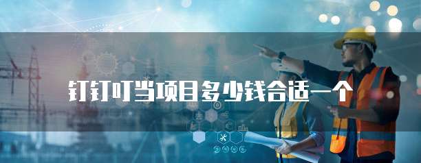 钉钉叮当项目多少钱合适一个