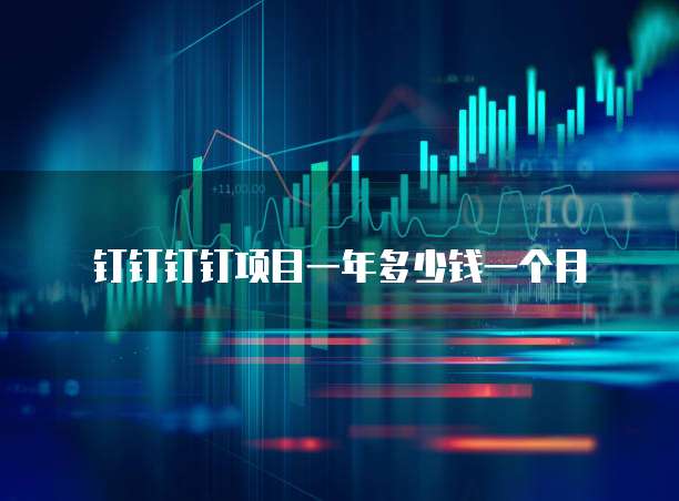 钉钉钉钉项目一年多少钱一个月