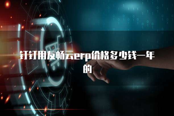 钉钉用友畅云erp价格多少钱一年的