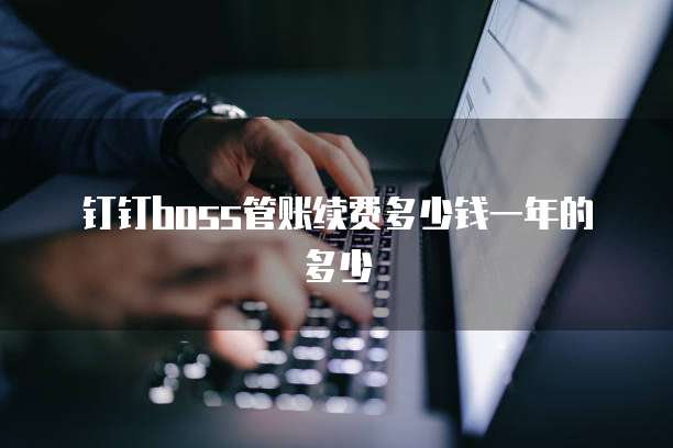钉钉boss管账续费多少钱一年的多少