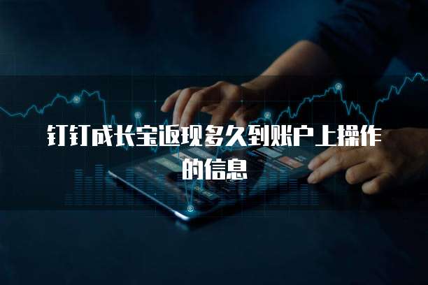 钉钉成长宝返现多久到账户上操作的信息