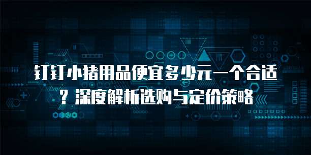 钉钉小猪用品便宜多少元一个合适？深度解析选购与定价策略