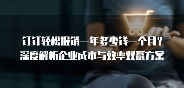 钉钉轻松报销一年多少钱一个月?深度解析企业成本与效率双赢方案