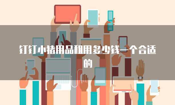 钉钉小猪用品租用多少钱一个合适的