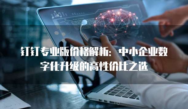 钉钉专业版价格解析:中小企业数字化升级的高性价比之选