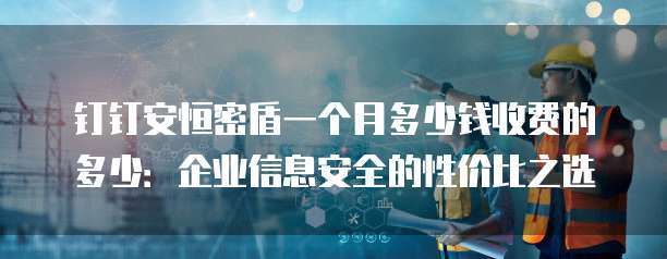 钉钉安恒密盾一个月多少钱收费的多少:企业信息安全的性价比之选