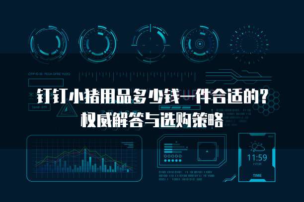 钉钉小猪用品多少钱一件合适的?权威解答与选购策略