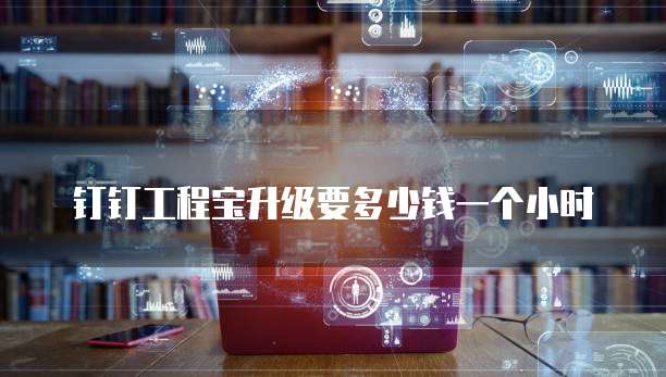 钉钉工程宝升级要多少钱一个小时