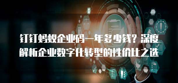 钉钉蚂蚁企业码一年多少钱?深度解析企业数字化转型的性价比之选