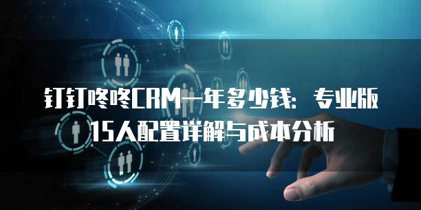 钉钉咚咚CRM一年多少钱:专业版15人配置详解与成本分析